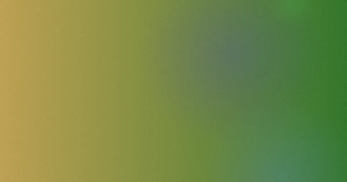 成年人性视频测评：四步避开常见坑